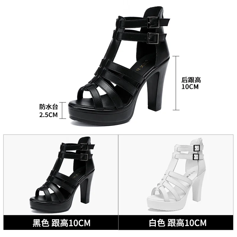 Gladiator Ladies Shoe for Wome - Women'S Shoes Peep Toe ulasan dan harga